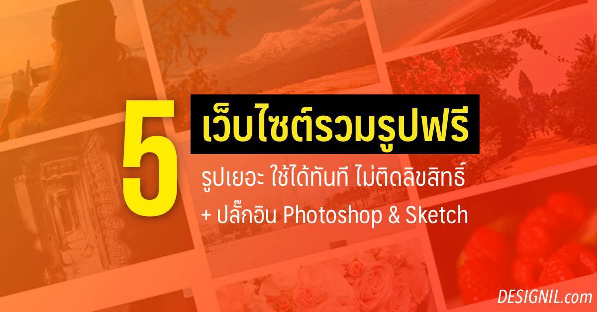 free photo download