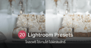 20 Lightroom presets