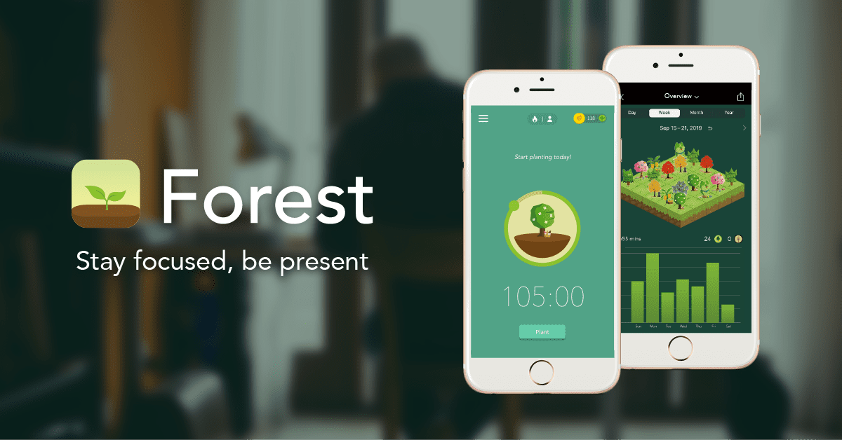 Forest - Stay focused, be present